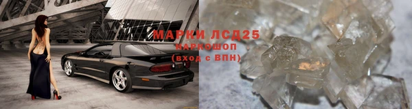шишки Семикаракорск