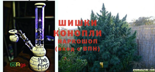 spice Белокуриха