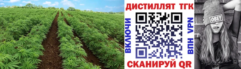Дистиллят ТГК вейп с тгк  Нестеров 