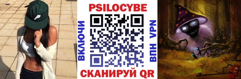 Галлюциногенные грибы Cubensis Нестеров